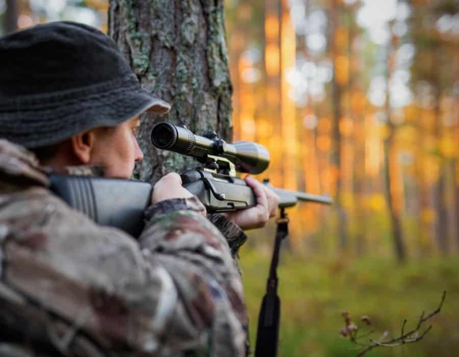 Are Thermal Scopes Legal? Know the laws!